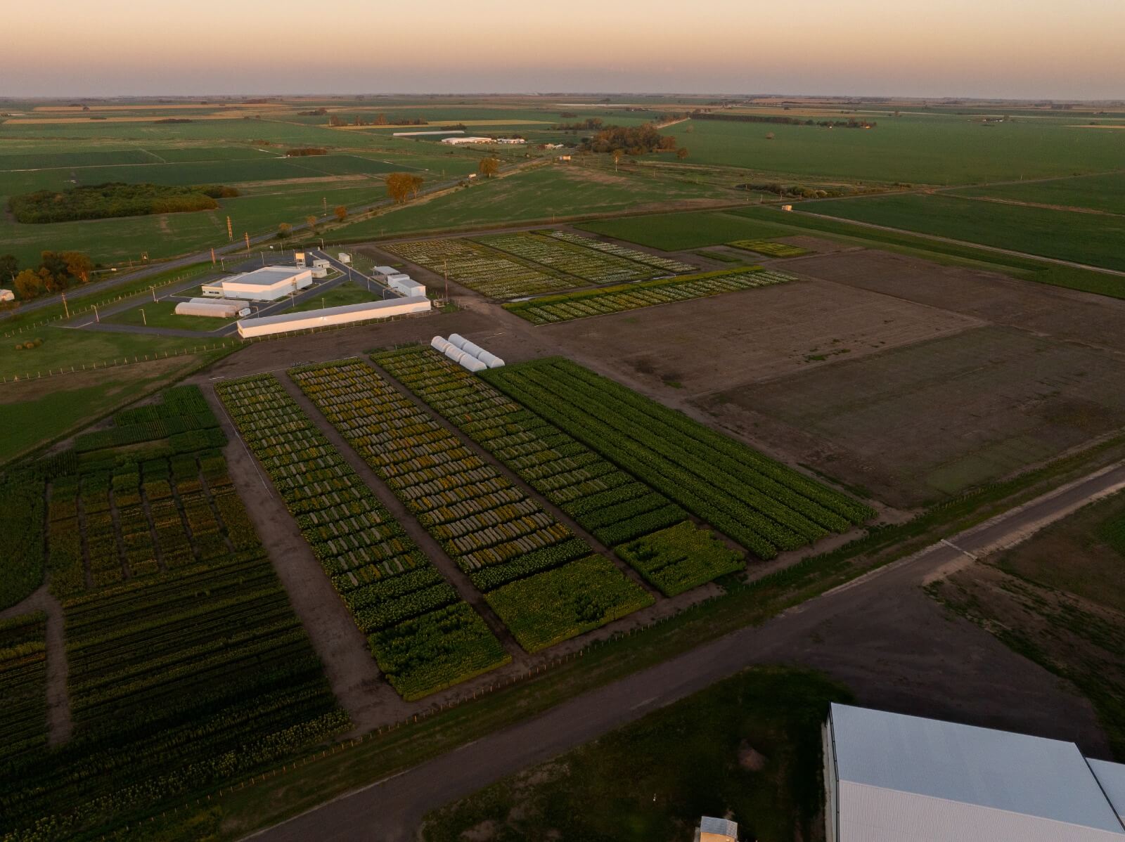 “Tenemos que pensar en una agricultura para alimentos y para biocombustibles, para las dos cosas” 4 Nufarm 3