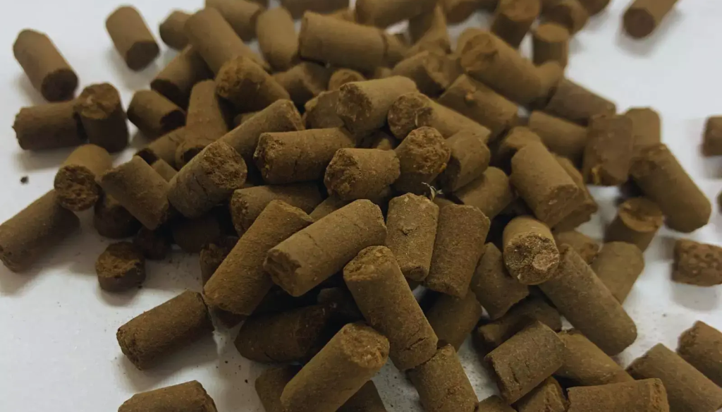 “Revoluciona el manejo”: en Cuyo crearon un biofertilizante en forma de pellets y a base de compost 3 biofertilizante pelletizado
