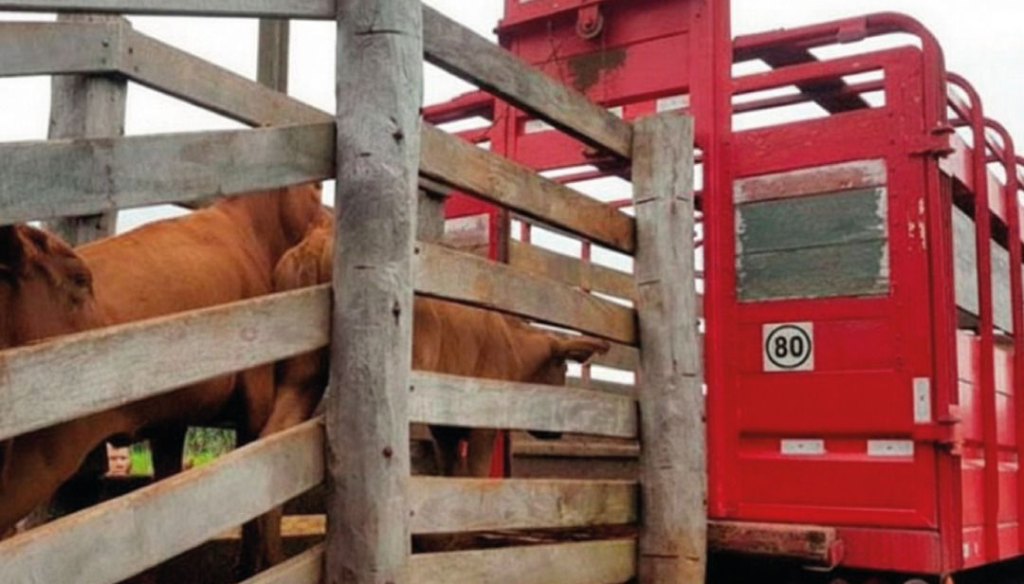 camion jaula hacienda