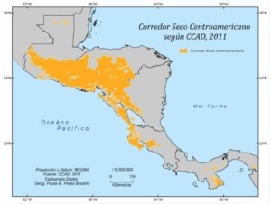 Desertificación en el siglo XXI: una amenaza silenciosa que ya golpea a Centroamérica