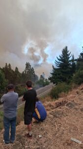 La mala memoria: un factor de riesgo detrás de los incendios de Penco La mala memoria: un factor de riesgo detrás de los incendios de Penco