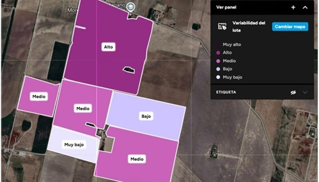 Control de malezas: el mapeo digital, una solución temprana para proteger a las sojas tardías