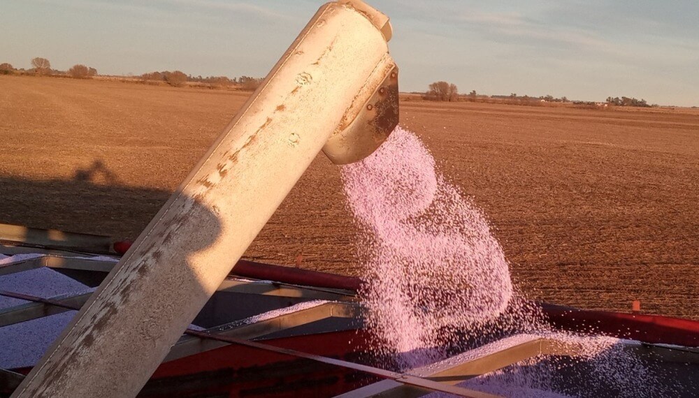 El negocio del agro viene mejor nutrido en 2026: crecen fuerte las importaciones de fertilizantes El negocio del agro viene mejor nutrido en 2026: crecen fuerte las importaciones de fertilizantes