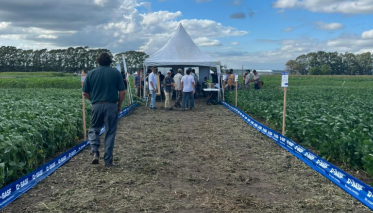 De los drones a la semilla: en Tandil, una parada en el camino tecnológico hacia mayor productividad De los drones a la semilla: en Tandil, una parada en el camino tecnológico hacia mayor productividad