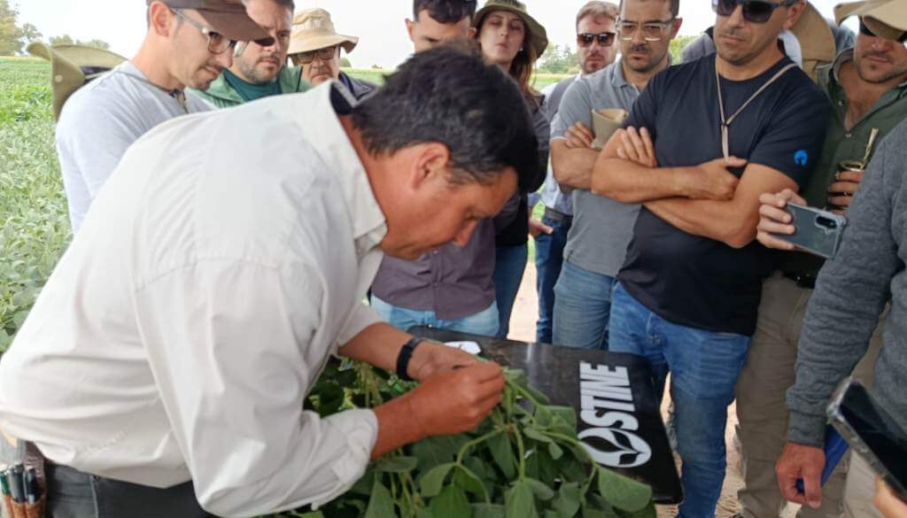 Un “Safari” semillero 360: cuando la genética abre su “cocina” y muestra cómo se construye el rinde Un “Safari” semillero 360: cuando la genética abre su “cocina” y muestra cómo se construye el rinde