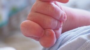 El abrazo humanista: cuando la comunidad sostiene a la vida en su umbral