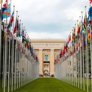 El desplome de la ONU y el Estado Nación