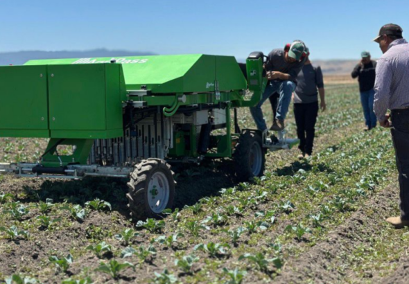 Fabrican un robot que “piensa como agricultor” para eliminar malezas y buscan llegar a América Latina