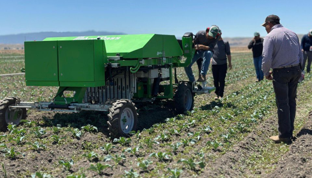 Fabrican un robot que “piensa como agricultor” para eliminar malezas y buscan llegar a América Latina