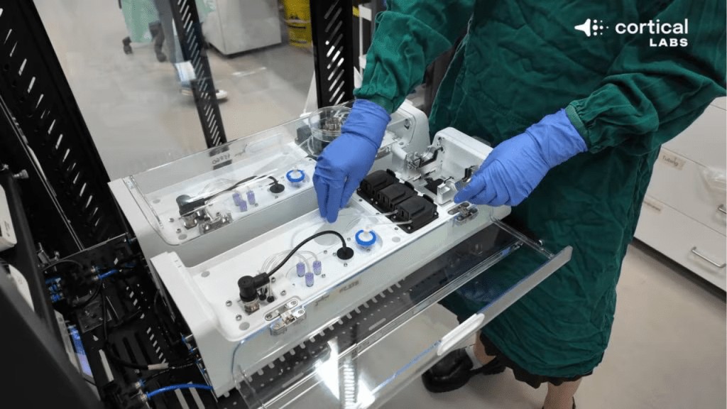 - computadora biologica