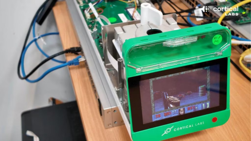 - computadora biologica