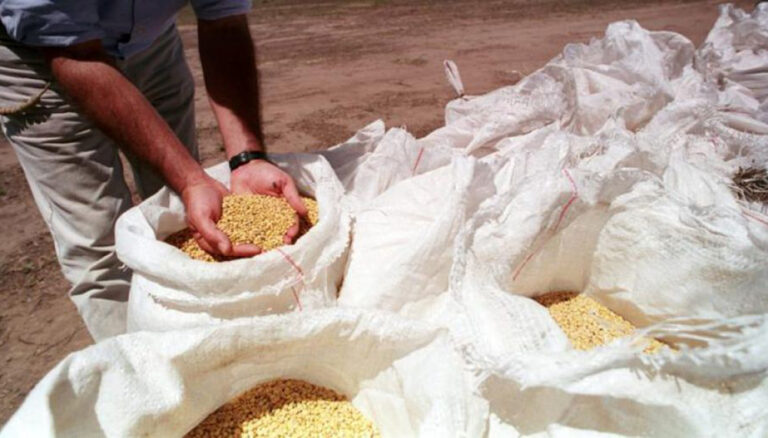 Propiedad intelectual en semillas: en el campo insisten con el sí a una nueva ley, pero no a UPOV 91 Propiedad intelectual en semillas: en el campo insisten con el sí a una nueva ley, pero no a UPOV 91