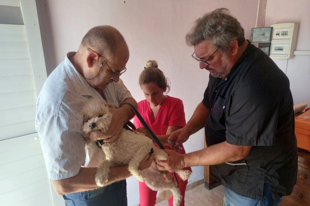 Con una jornada en el Parador Turístico, comienza la campaña de vacunación antirrábica y desparasitación Con una jornada en el Parador Turístico, comienza la campaña de vacunación antirrábica y desparasitación