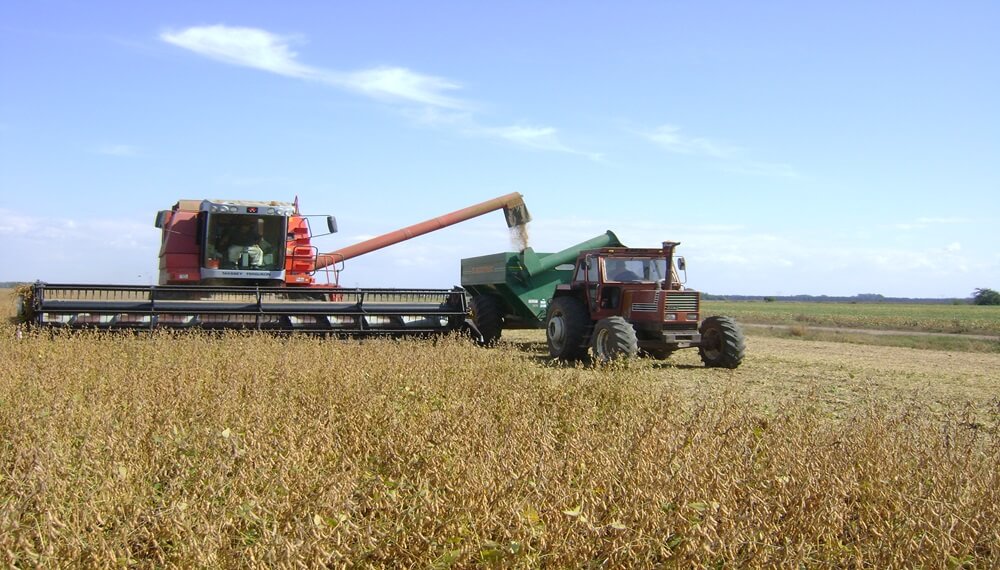 Con apuro, comenzó la cosecha de soja en la zona núcleo y hay optimismo por los primeros rindes Con apuro, comenzó la cosecha de soja en la zona núcleo y hay optimismo por los primeros rindes