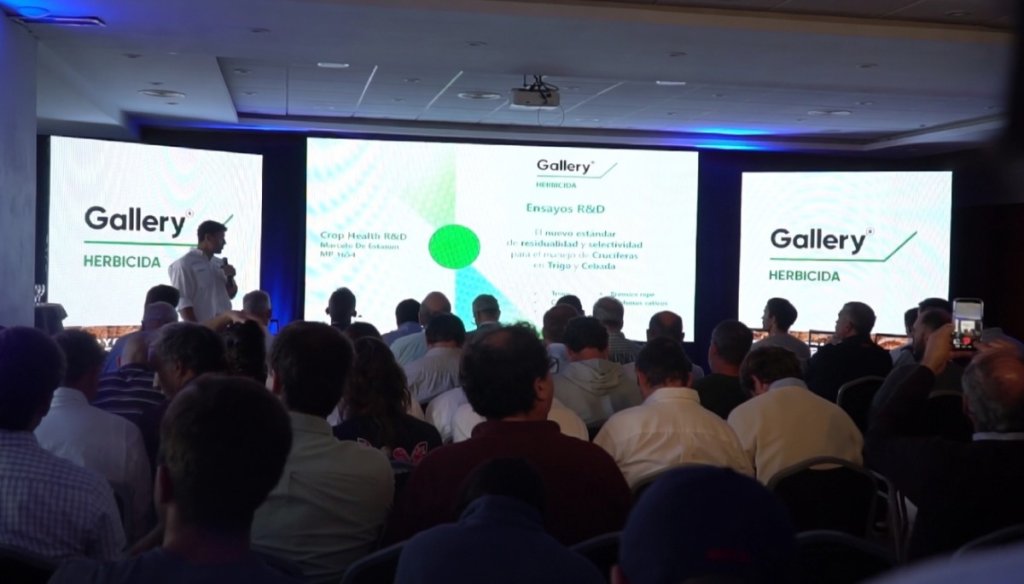 La batalla contra las malezas resistentes: una nueva arma para enfrentar la “crisis de las crucíferas”