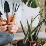 Las mejores apps de jardinería