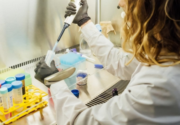 Biotecnología: aprueban un nuevo marco regulatorio para microorganismos genéticamente modificados Biotecnología: aprueban un nuevo marco regulatorio para microorganismos genéticamente modificados
