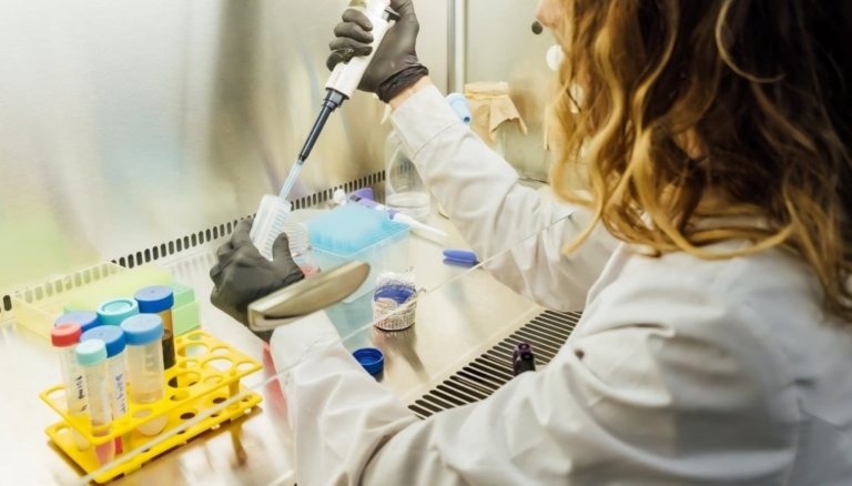 Biotecnología: aprueban un nuevo marco regulatorio para microorganismos genéticamente modificados Biotecnología: aprueban un nuevo marco regulatorio para microorganismos genéticamente modificados