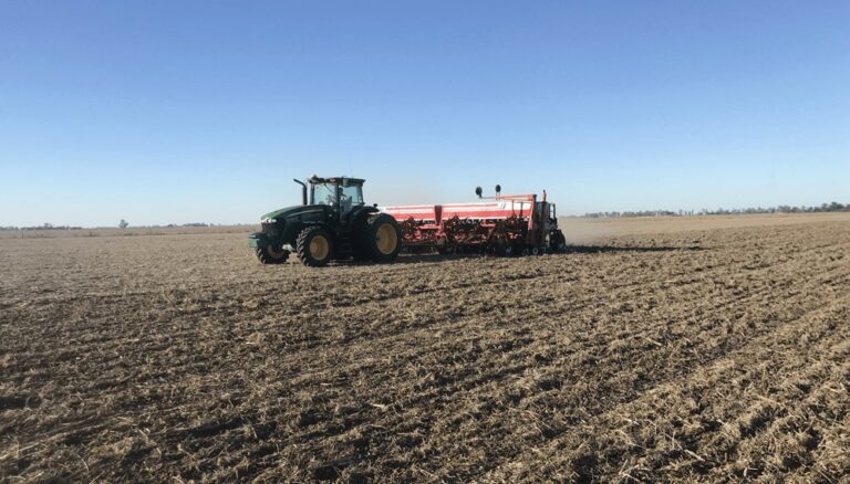 Expectativas renovadas para el trigo: la urea sigue bajando y la siembra recupera hectáreas Expectativas renovadas para el trigo: la urea sigue bajando y la siembra recupera hectáreas