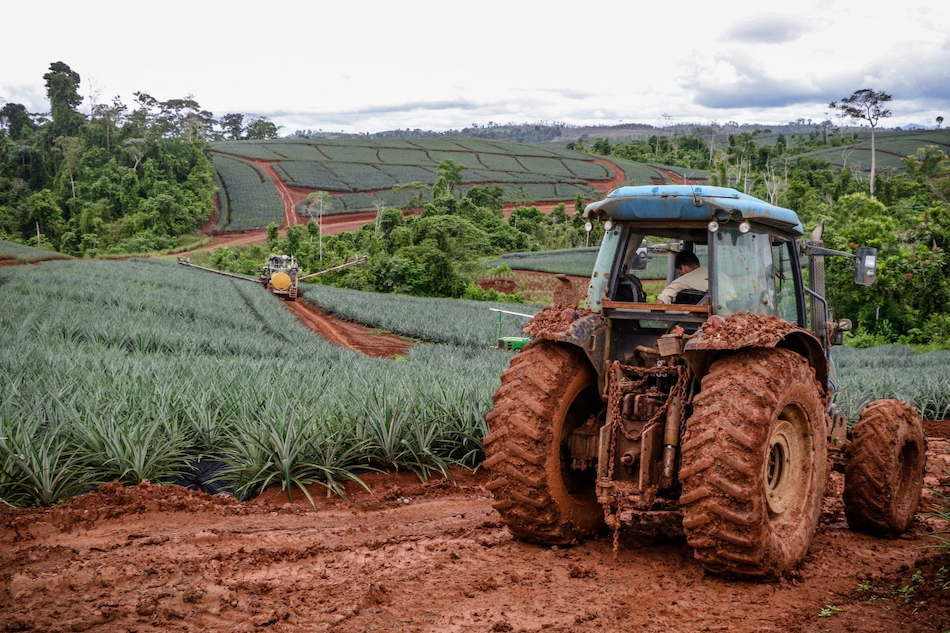 Defender el ambiente y … ser demandado: el caso de JuamBa con relación a las «demandas estratégicas contra la participación pública» (SLAPP) en Costa Rica Defender el ambiente y … ser demandado: el caso de JuamBa con relación a las «demandas estratégicas contra la participación pública» (SLAPP) en Costa Rica