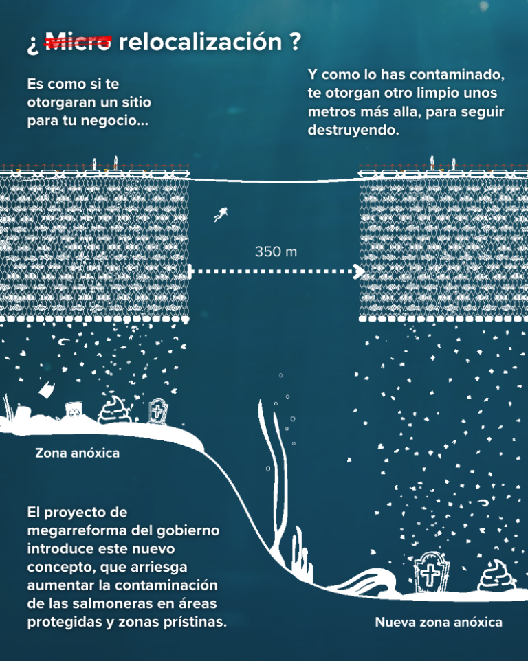 ONGs rechazan flexibilización de estándares ambientales para la industria salmonera en Chile ONGs rechazan flexibilización de estándares ambientales para la industria salmonera en Chile
