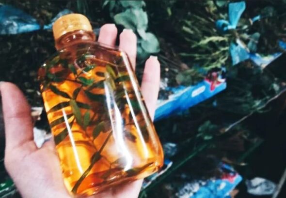 CAÑA CON RUDA, la tradición de cada 1º de Agosto