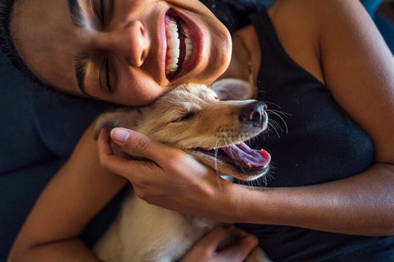 5 beneficios de tener una mascota para la salud mental 5 beneficios de tener una mascota para la salud mental