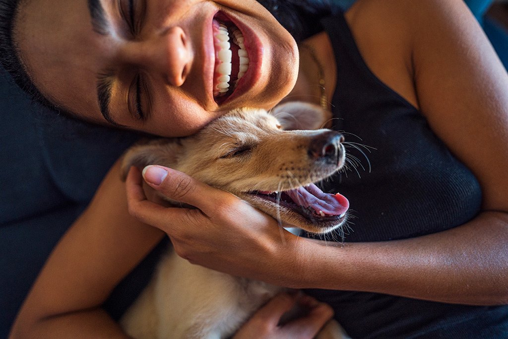 5 beneficios de tener una mascota para la salud mental 5 beneficios de tener una mascota para la salud mental