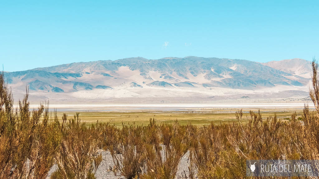 Laguna Blanca en Catamarca