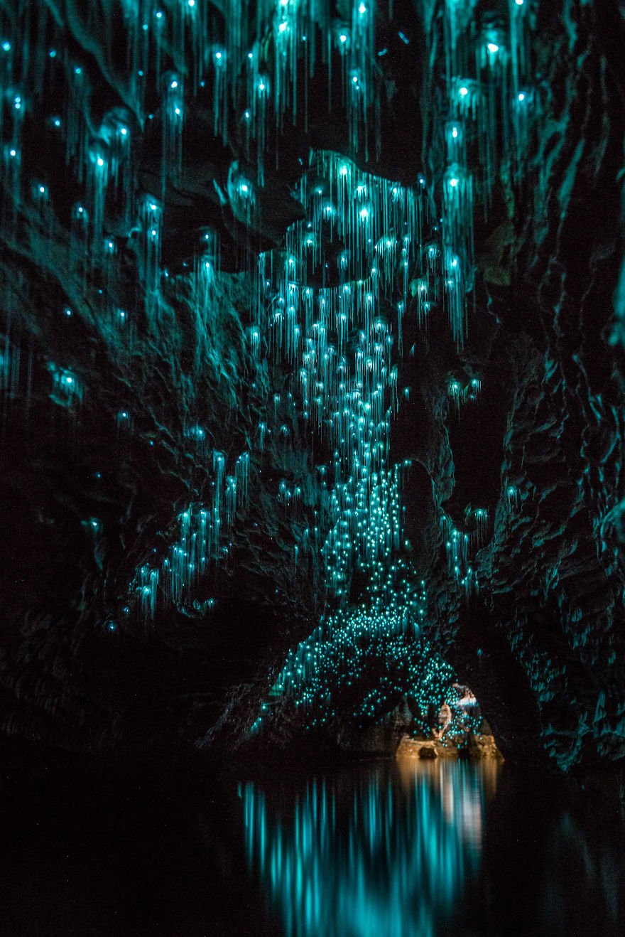 Las luciernagas de Waitomo