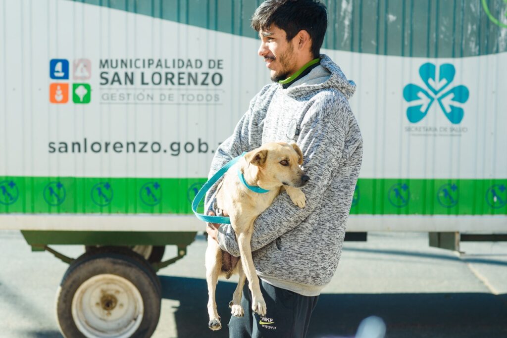 En 2024, la Municipalidad de San Lorenzo castró a más de 5.000 perros y gatos