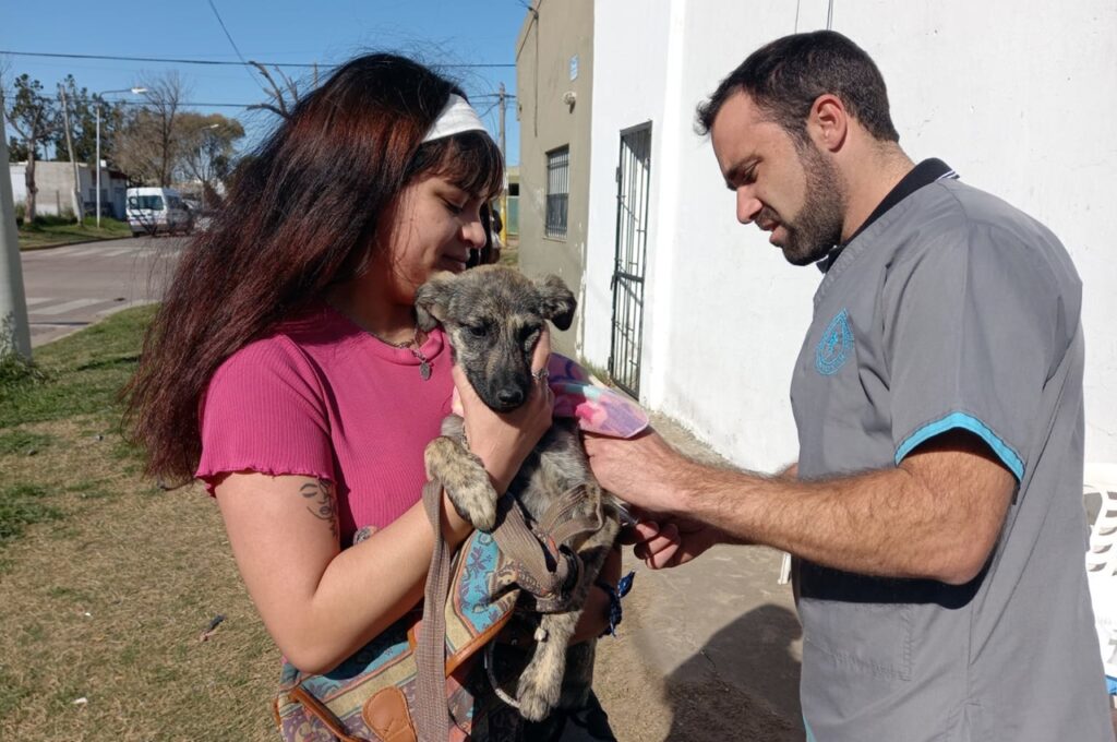 En 2024, la Municipalidad de San Lorenzo vacunó contra la rabia y desparasitó a 3.160 perros y gatos